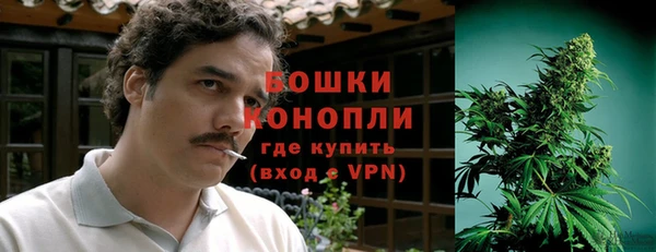 ГАЛЛЮЦИНОГЕННЫЕ ГРИБЫ Михайловск