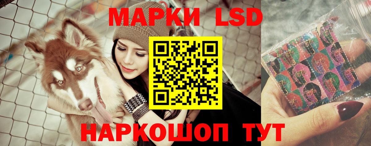 LSD-25 экстази ecstasy  ЛСД экстази ecstasy  LSD-25 экстази  Вход с VPN  Нововоронеж 
