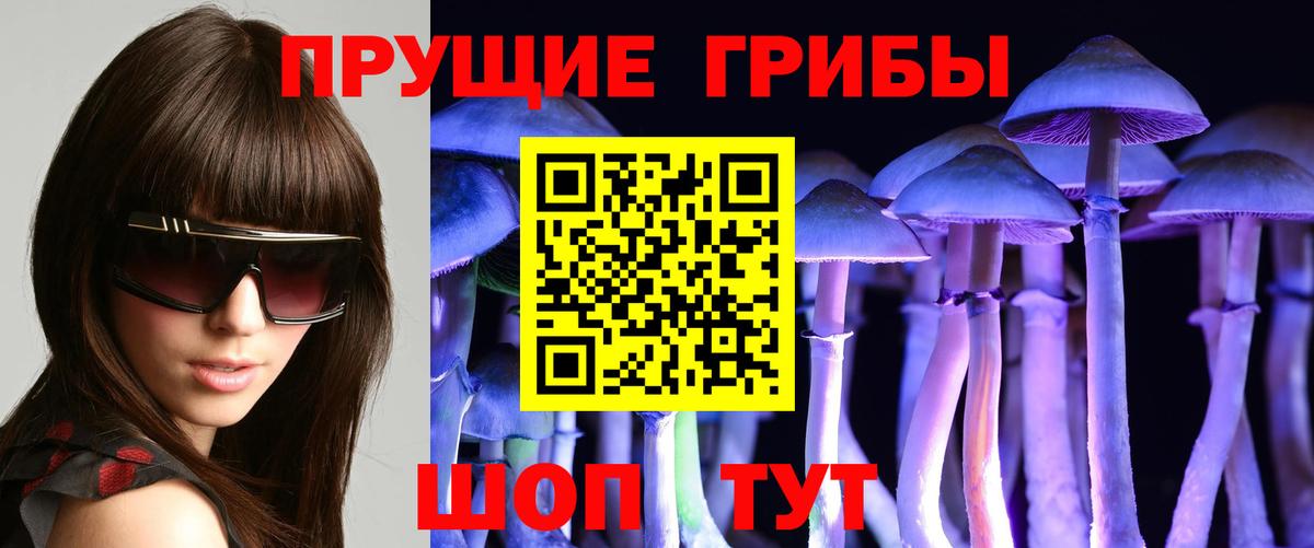 Галлюциногенные грибы Cubensis Нововоронеж