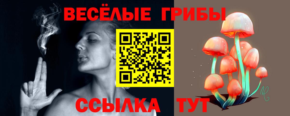 Галлюциногенные грибы мухоморы  Вход с VPN  Нововоронеж 